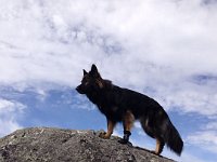 Ki-Shani